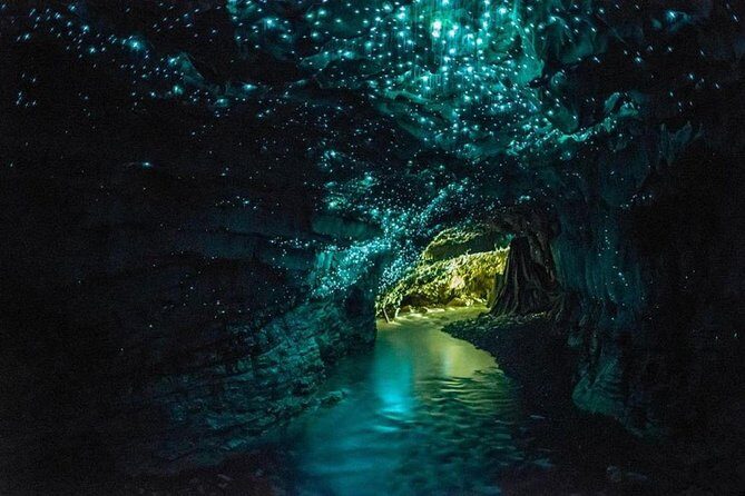 4-Day Auckland to Wellington via Rotorua Tour - Key things to know before you go