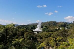 4-Day Auckland to Wellington via Rotorua Tour - Day 2: Whakarewarewa Maori performance plus a free Rotorua afternoon