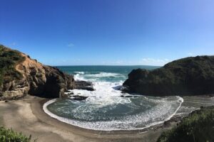 6 Hours Sightseeing Tour in Auckland - Getting Around Auckland: Pickup, Private Van, and a Small Group