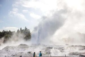 AKL: Te Puia Maori Haka, Kiwi Birds, Redwood & Blue Springs - Te Puia Rotorua: Pohutu Geyser, mud pools, and Kiwi birds