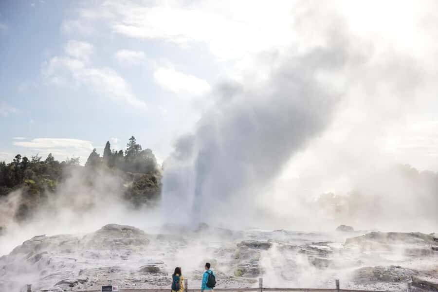 AKL: Te Puia Maori Haka, Kiwi Birds, Redwood & Blue Springs - Te Puia Rotorua: Pohutu Geyser, mud pools, and Kiwi birds