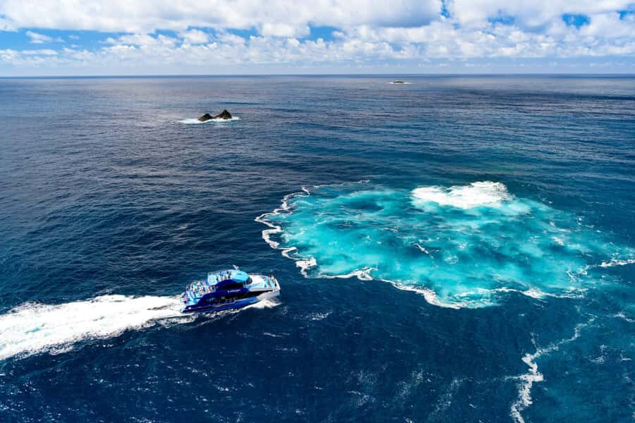Auckland: Bay of Islands Day Tour with Dolphin Cruise - Comfort and smart packing: what to bring for this kind of day