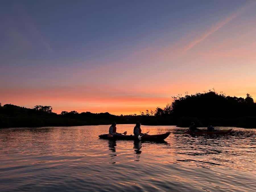 Auckland: Bioluminescence Kayak Tour with Guide - The 2-Hour Plan: From Gear Up to Starlit Paddling