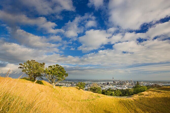 Auckland City and West Coast Full Day Tour - Lunch, Snacks, and the Kiwi Food Touch