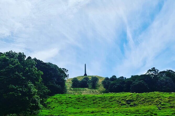 Auckland City Highlights Full Day Tour - Price and Value: What You Get for $186.17
