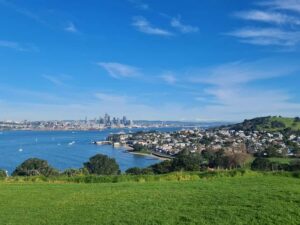 Auckland City Highlights Half Day Tour - How the guide turns quick stops into clear stories