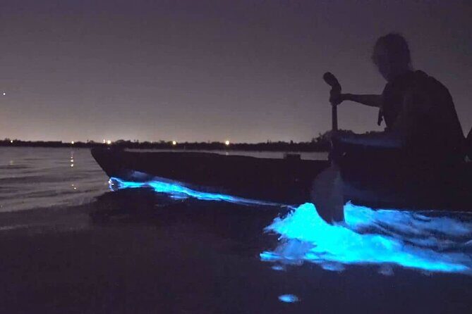 Auckland City Lights Night Kayaking Tour - What the 2.5 hours feels like on your body and mind