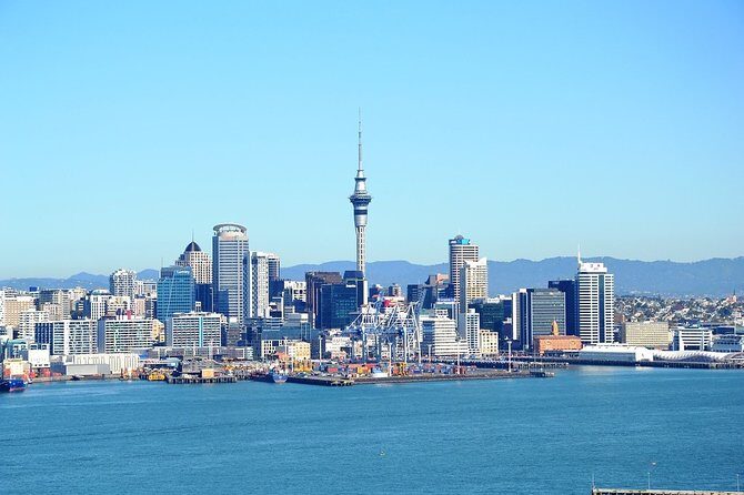 Auckland City & Native Forest Experience - Fully Guided Day Tour - Harbour Bridge, Westhaven Marina, and the Photo-Friendly Start