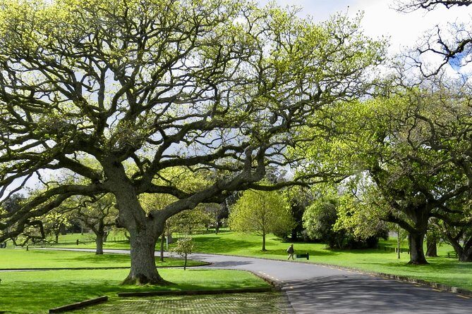 Auckland City Private Tour for Couples. Be chauffeur driven with added extras. - Stop 2: Auckland Museum area and the Winter Gardens pause