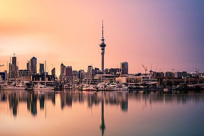 Auckland City Small-Group Morning Discovery Tour - Harbour Bridge and the North Shore: the quick “wow” corridor