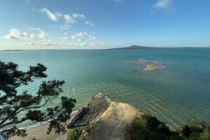 Auckland Coastal Experience - Small Group City & Beach Tour Incl. Wine Tasting - Pickup, timing, and what a real day looks like