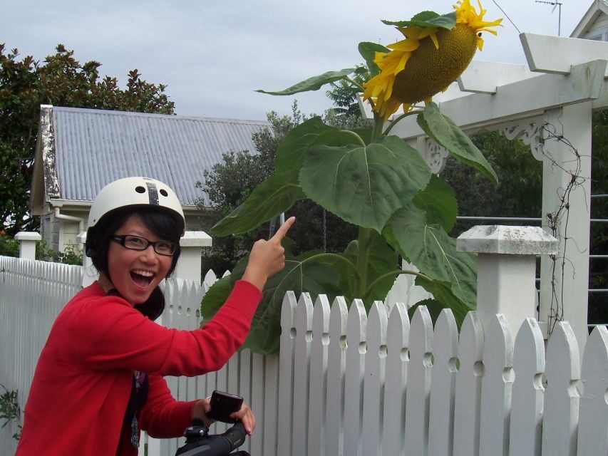 Auckland: Devonport Village Segway Tour - Should you book the Devonport Segway Tour?