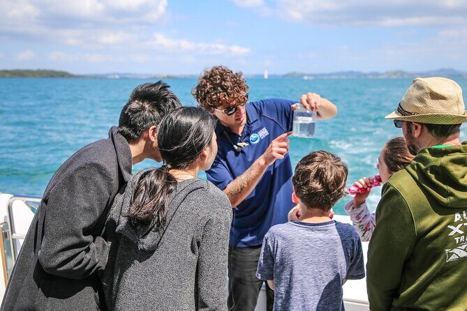 Auckland Dolphin and Whale Watching Eco-Safari Cruise - The Route: How Each Stop Builds the Day’s Story