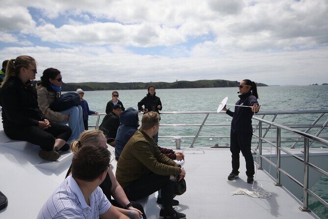 Auckland Dolphin and Whale Watching Eco-Safari Cruise - Comfort, Weather, and That 4.5-Hour Time Block