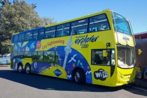 Auckland Explorer: Sightseeing Hop-on Hop-off Tour - How the Hop-On Hop-Off Routes Work (and Why the Color Lines Matter)