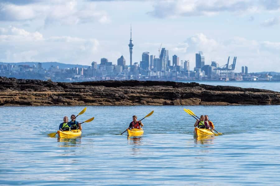 Auckland: Half-Day Sea Kayak Tour to Motukorea Island - Sea kayak to Motukorea: why this Auckland outing feels special