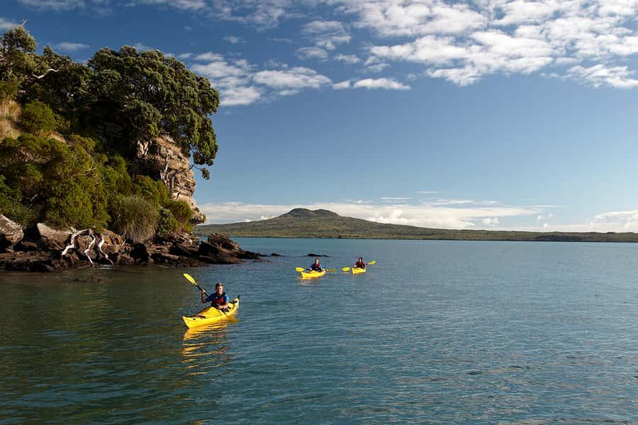 Auckland: Half-Day Sea Kayak Tour to Motukorea Island - Getting set up: meeting at St Heliers or the War Memorial Museum pickup