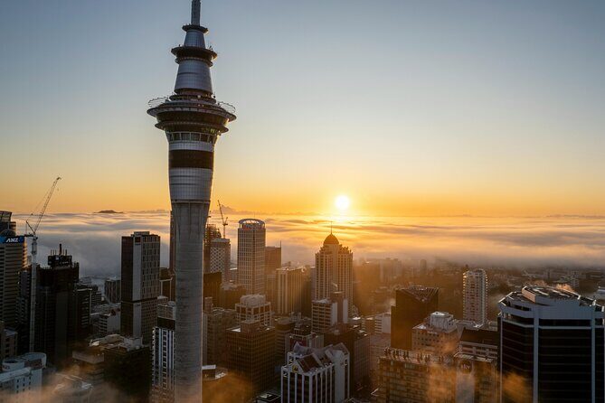 Auckland Highlight Attractions Small Group Tour - Winter Gardens Auckland Domain: glasshouses, fernery, and a slow walk
