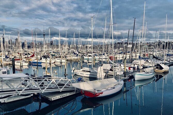 Auckland Highlight Attractions Small Group Tour - Mission Bay: a beachside finish minutes from the city