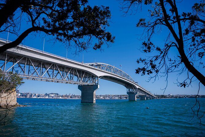 Auckland Highlight Attractions Small Group Tour - Who this tour suits best (and who may want a different pace)