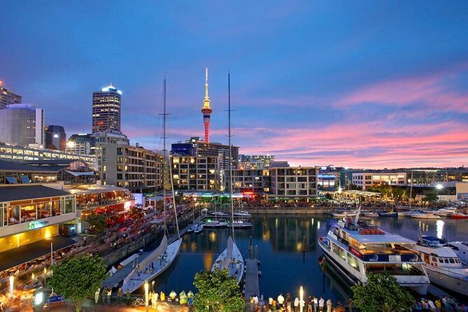 Auckland Highlights 4 Hrs city Tour - Key things that make this tour work
