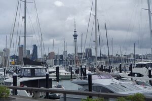 Auckland Highlights Full Day Guided Tour - Mount Eden crater: the best payoff for your time