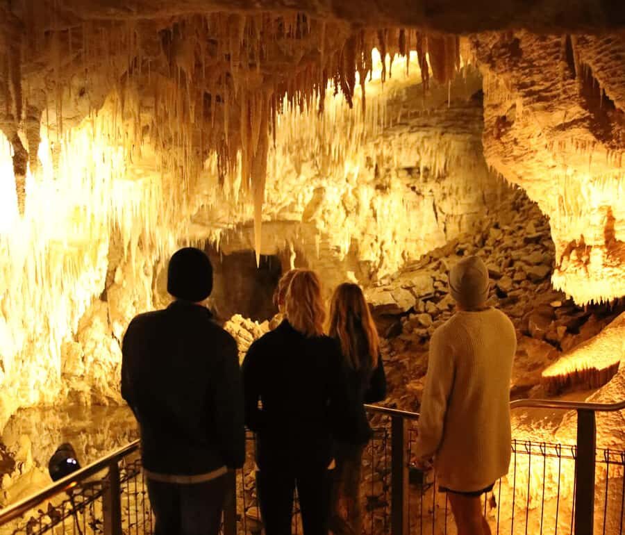 Auckland: Hobbiton & Waitomo Glow Worm Caves Private Tour - What’s Included (and What You’ll Pay For Later)