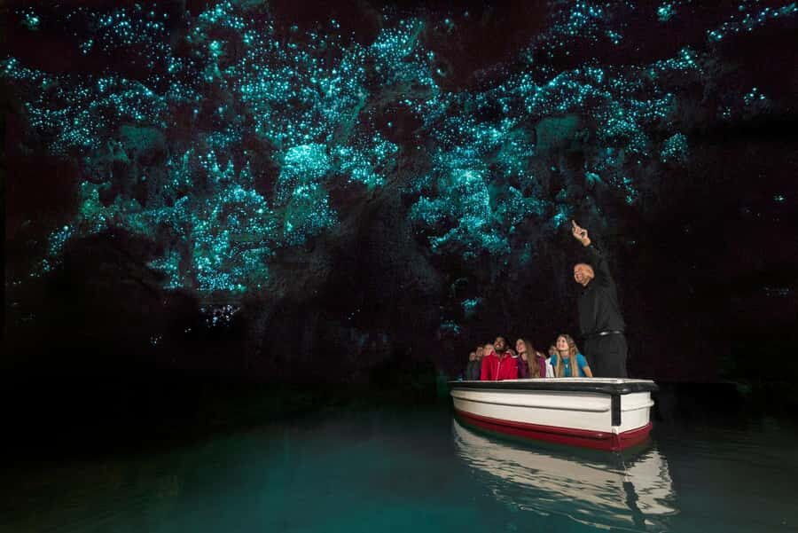 Auckland: Hobbiton & Waitomo Glow Worm Caves Private Tour - Price and Value: $591 Per Person, One Guide, Two Icons