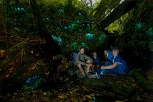 Auckland: Inner-City Glowworm Experience in Ancient Volcano - Where the tour starts: Wintergarden Cafe and the first night steps