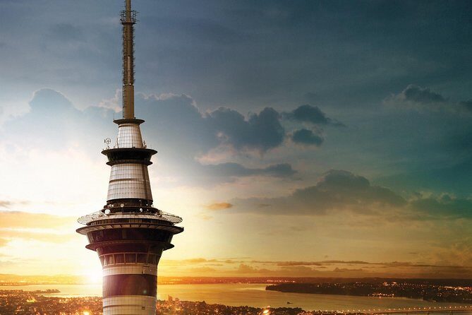 Auckland Māori Culture Experience - Private Tour - Bastion Point: coastal views with land-and-protest context
