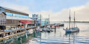 Auckland: Maritime Museum Entry Ticket - Pacific migrations and the sea’s human story