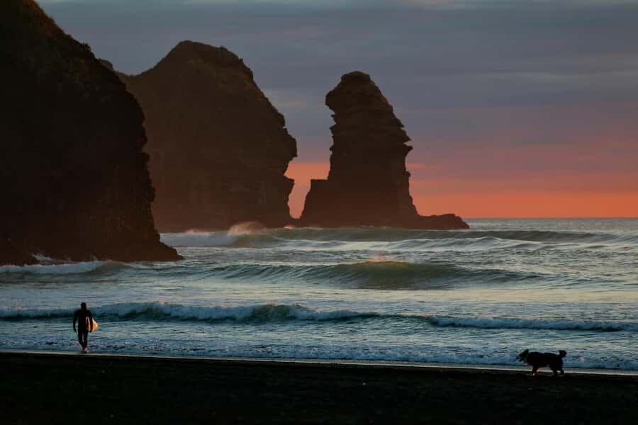 Auckland: Mt. Eden, Piha Beach & Karekare Private Tour - Arataki Visitor Centre: the Waitākere Ranges gateway (views plus culture)