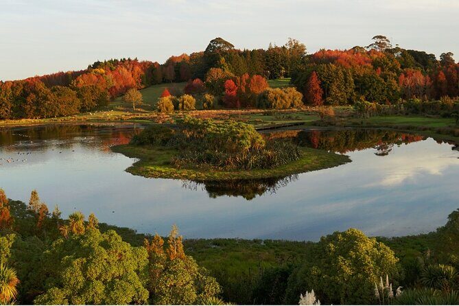 Auckland Nature Tour - Ayrlies Garden and Wetlands: where the time actually feels slower
