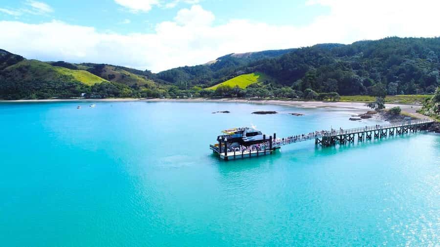 Auckland: Rotoroa Island and Man O'War Vineyard Combo Tour - Price Check: What $71 Really Buys You Here