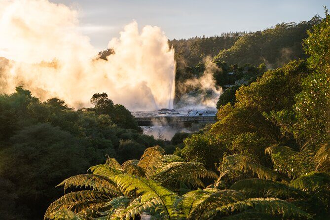 Auckland: Rotorua Te Puia with Haka & Polynesian Spa Small Group - Te Puia and Whakarewarewa Thermal Valley: the geothermal part that’s hard to fake
