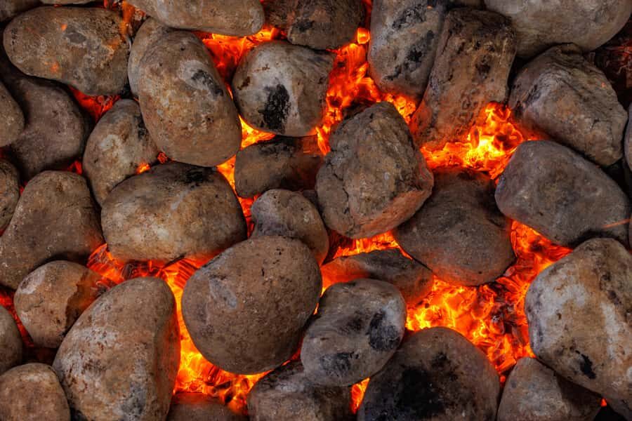 Auckland: Rotorua Tour with Mitai Māori Village & Wai-O-Tapu - Key Moments You Shouldn’t Miss