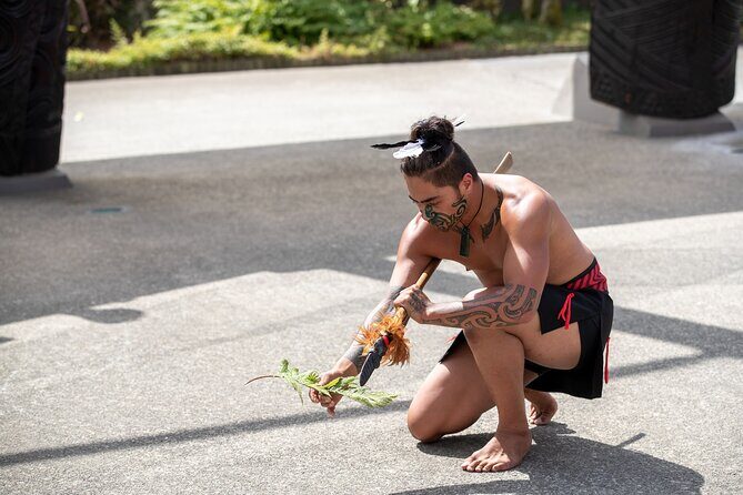 Auckland: Rotorua Tour with Waiotapu, Te Puia and Maori Haka - Price and value: is $245.13 a fair deal?
