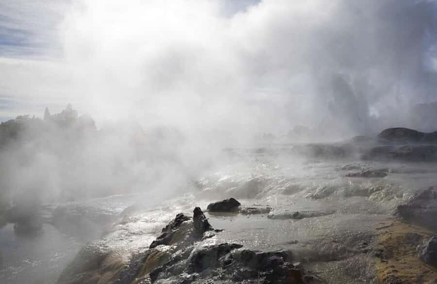 Auckland: Rotorua Wai-O-Tapu & Activity Combinations - The Afternoon Choice: Te Puia/Whakarewarewa, Polynesian Spa, or Redwoods Treewalk