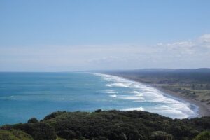 Auckland Scenic Day Tour Full-Day- 8 HOURS - Price and value: what $133.42 buys you in Auckland