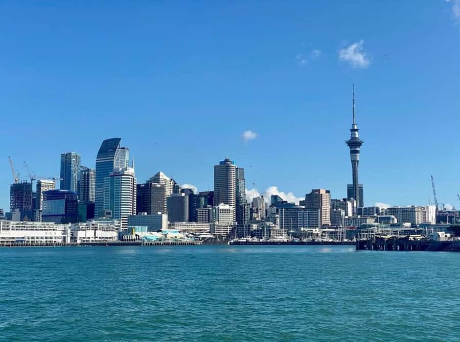 Auckland: Scenic Wine and Cheese Harbour Cruise - Should You Book This Auckland Wine and Cheese Harbour Cruise?