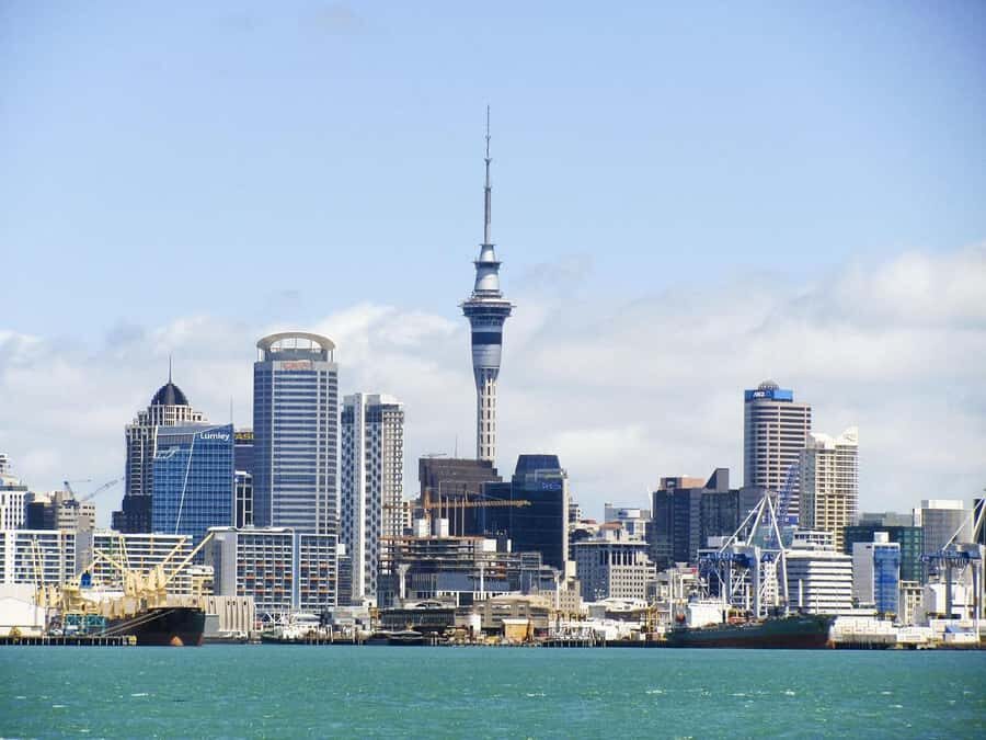 Auckland: Scenic Wine and Cheese Harbour Cruise - Boarding at Z Pier, Westhaven Marina (Red Boats)