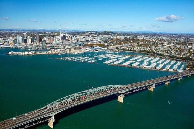 Auckland Shore Excursion: Half-Day Guided City Tour - Why the 17-person max feels like a real guided day