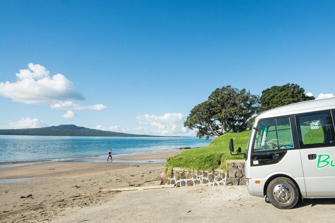 Auckland Shore Excursion: Half-Day Guided City Tour - Time, transport, and what the guide actually does for you