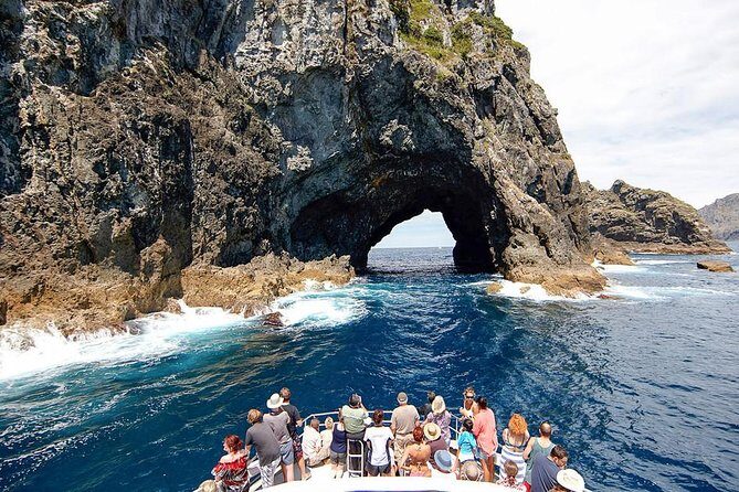 Auckland Sights Exclusive 4 Hour Luxury Day Tour - How the Itinerary Gets Tailored: Walks, Coffee, and Real Flexibility