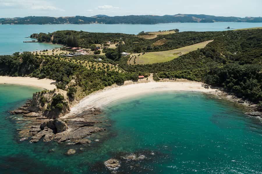 Auckland: Tikapa Moana Whales, Dolphins and Islands Cruise - Should you book Tikapa Moana Whales, Dolphins and Islands?