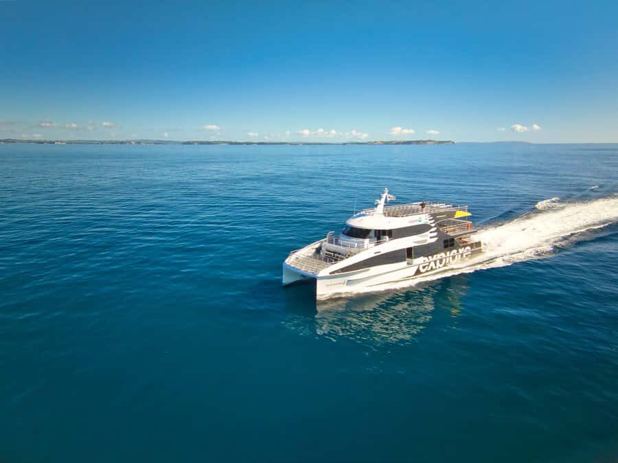 Auckland: Tikapa Moana Whales, Dolphins and Islands Cruise - Marine mammal searching (plus the voucher if it doesn’t happen)
