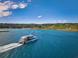 Auckland: Tiritiri Matangi Island Ferry - Price and what you really get for around $65