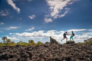 Auckland to Rangitoto Island Ferry - The island portion: tractor-style touring plus the walk options