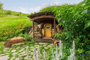 Auckland to Rotorua, Hobbiton and Waitomo 1 Way Small Group Tour - Waitomo Glowworm Caves: stalactites, stalagmites, and what makes the glow work