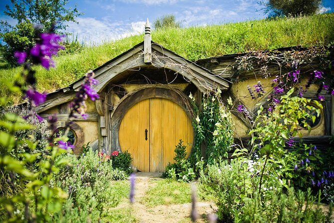 Auckland to Rotorua via Hobbiton Movie Set Tour - One Way - Key things that make this tour work well